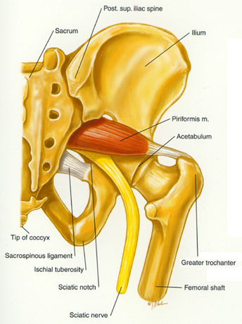 Emu oil and Sciatic Nerve pain
